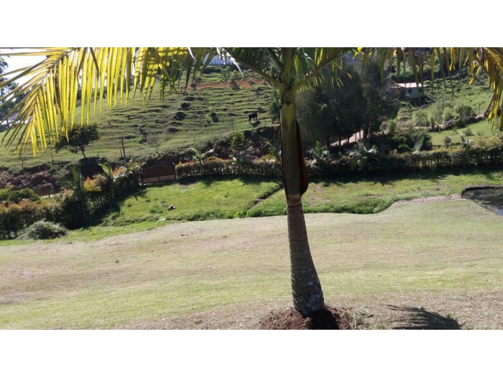 ENCANTADOR LOTE EN VENTA EL CÁRMEN DE VIBORAL — foto 6
