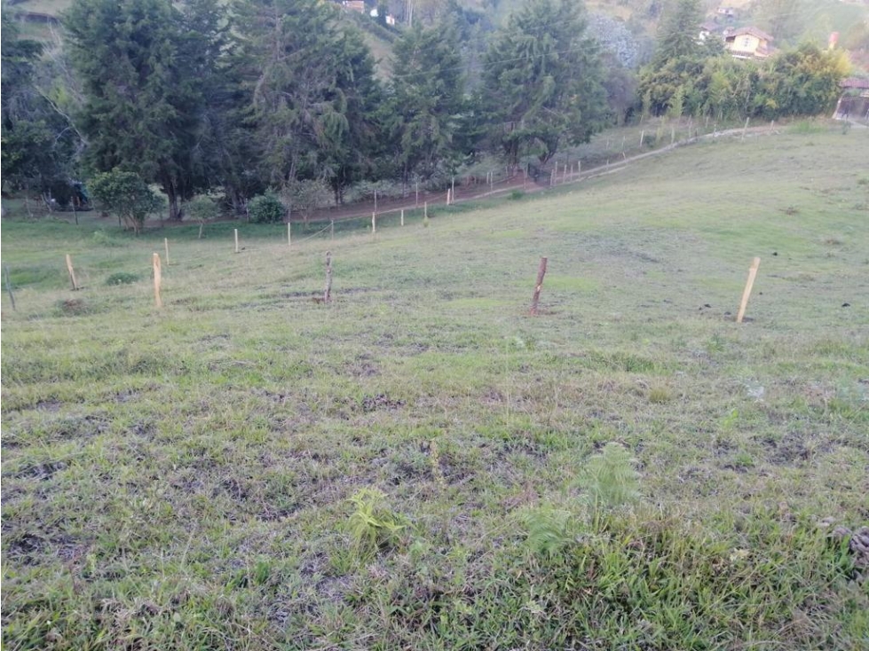 LINDOS LOTES EN VENTA GUARNE — foto 5