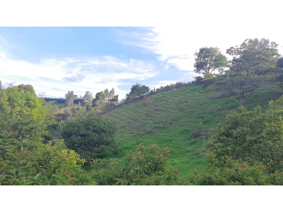 LINDO LOTE EN VENTA MARINILLA - 5