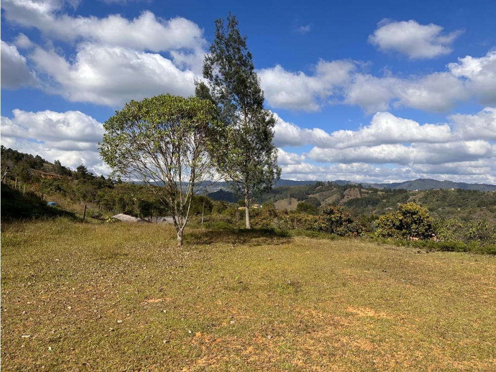 ENCANTADOR LOTE EN CON LINDA VISTA EN VENTA GUARNE - 5