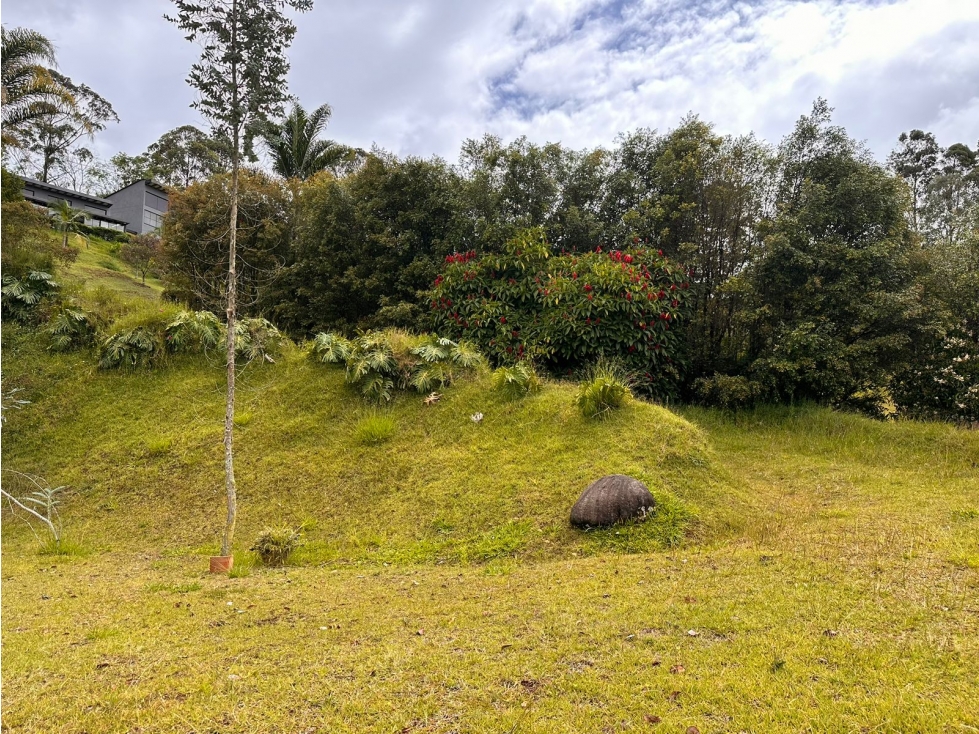 ENCANTADOR LOTE EN VENTA CERCA A SAN ANTONIO DE PEREIRA — foto 6