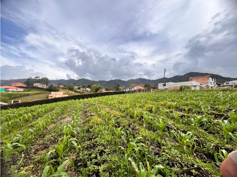 ESPECTACULAR LOTE SEMIURBANO EN VENTA EL CARMEN DE VIBORAL — foto 6