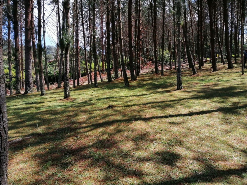 ESPECTACULAR FINCA EN VENTA GUARNE — foto 6