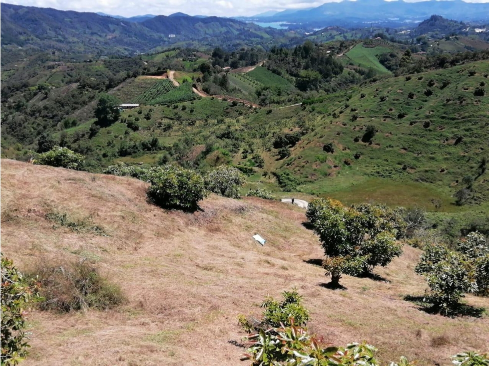 ENCANTADORA FINCA AGUACATERA EN VENTA SAN VICENTE — foto 6