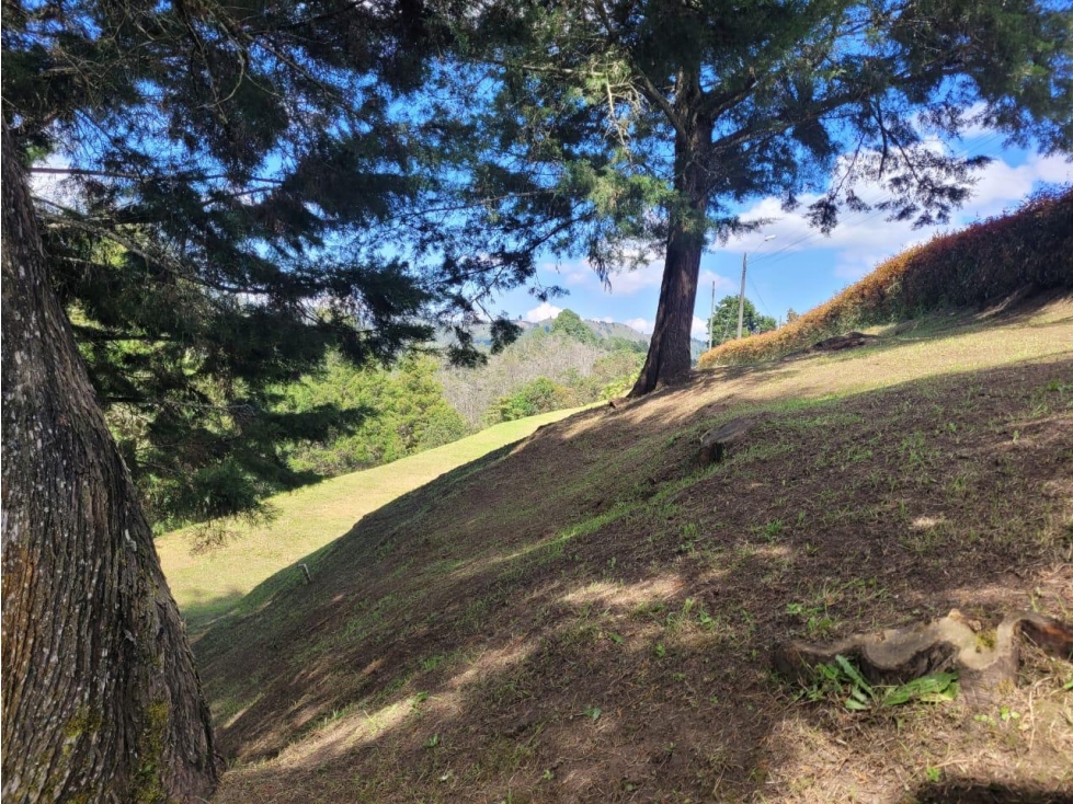 ESPECTACULAR LOTE EN VENTA GUARNE — foto 6