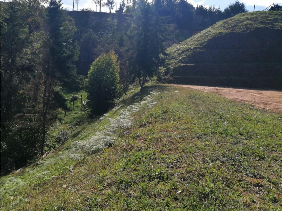 ENCANTADORES LOTES EN VENTA CERCA A LA AUTOPISTA — foto 6