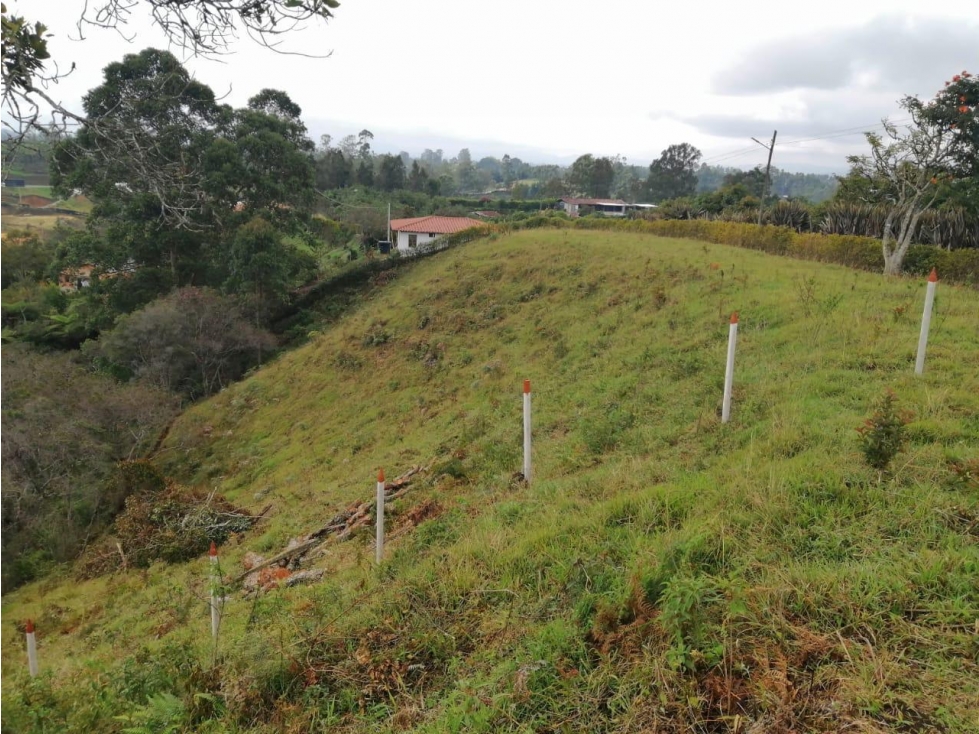 ENCANTADOR LOTE EN VENTA SAN VICENTE — foto 6