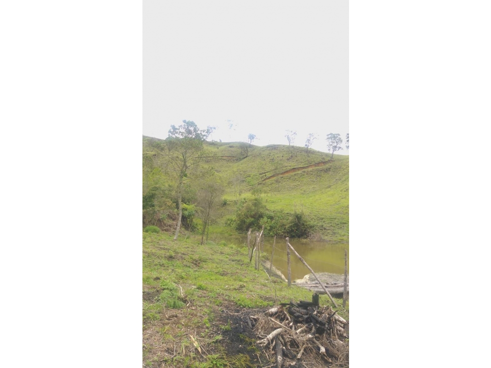 ENCANTADORA FINCA EN VENTA PARA PROYECTO SAN VICENTE — foto 6