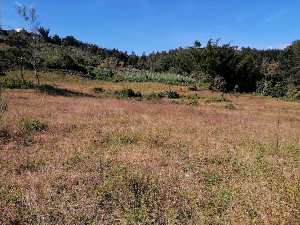 ENCANTADOR LOTE EN VENTA PARA PROYECTO SAN VICENTE — foto 6