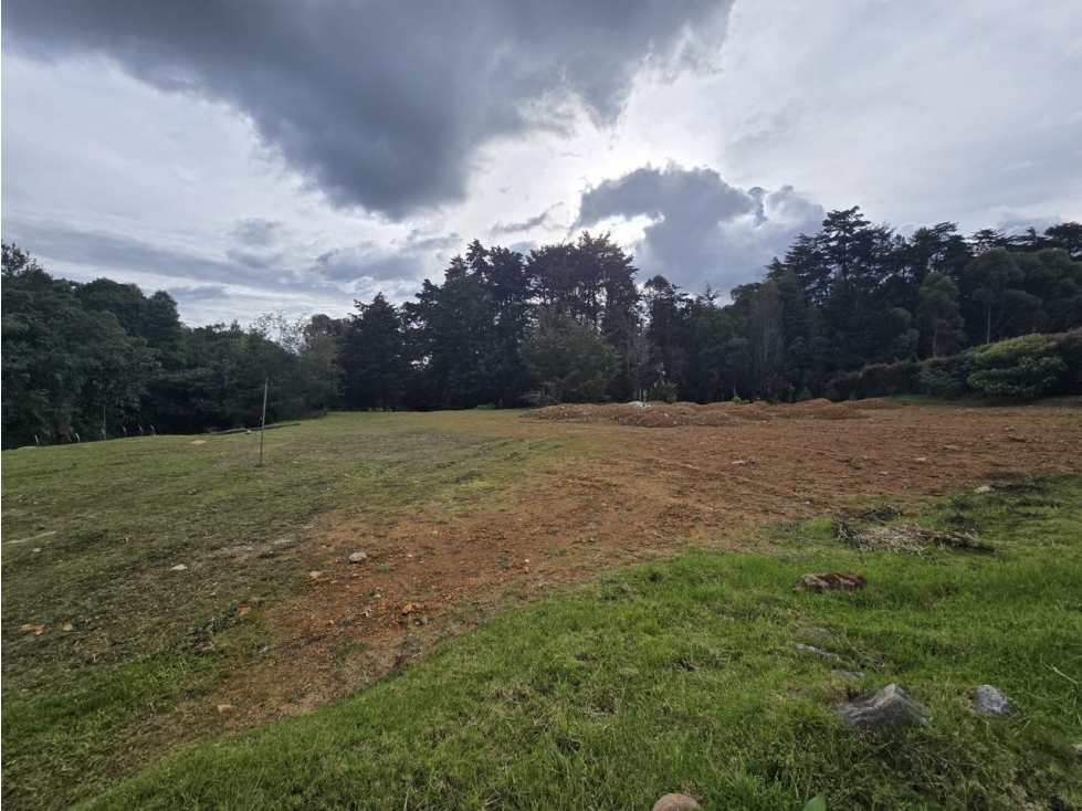 ENCANTADOR LOTE ALTO DE PALMAS EN VENTA — foto 6