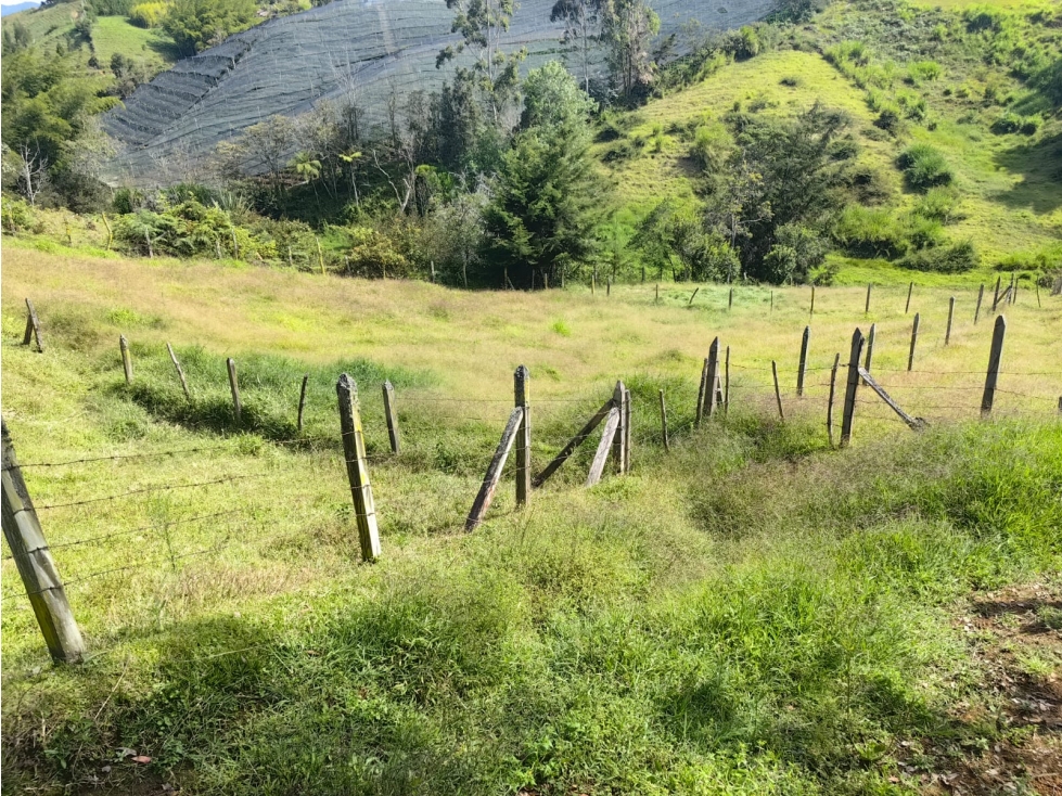 LINDA CASA FINCA EN VENTA MARINILLA ANTIOQUIA — foto 6