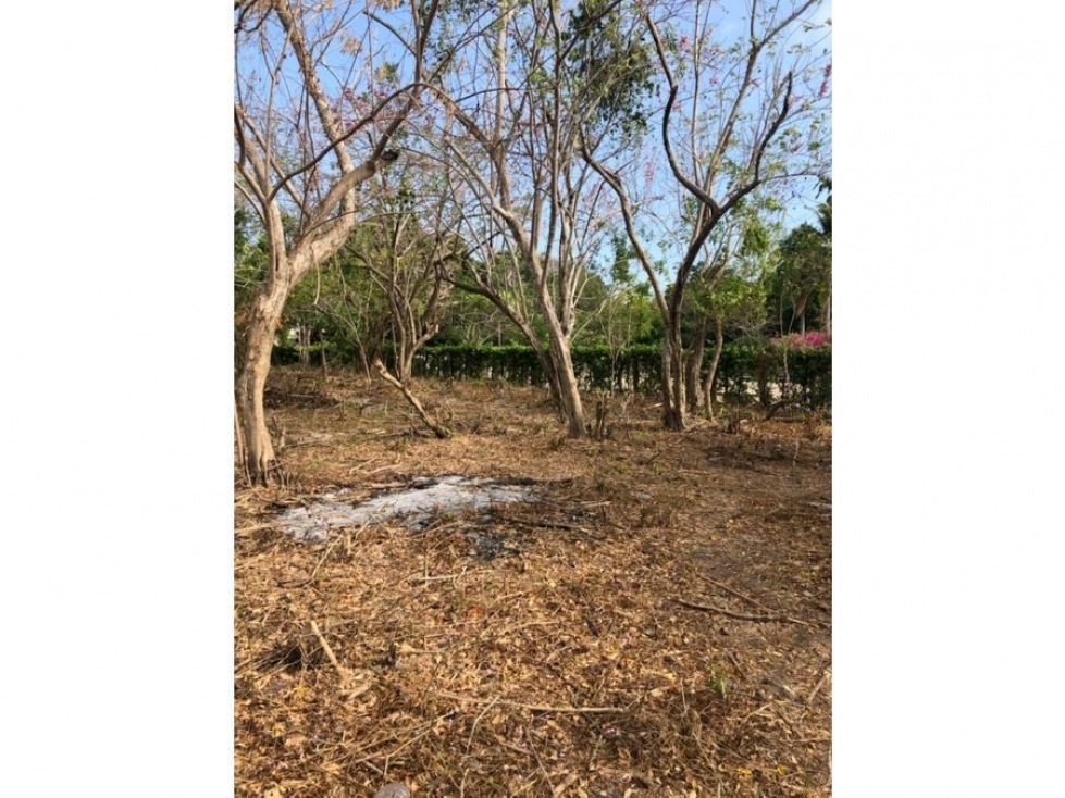 LINDO LOTE DE PLAYA EN VENTA ISLA BARU CARTAGENA — foto 6