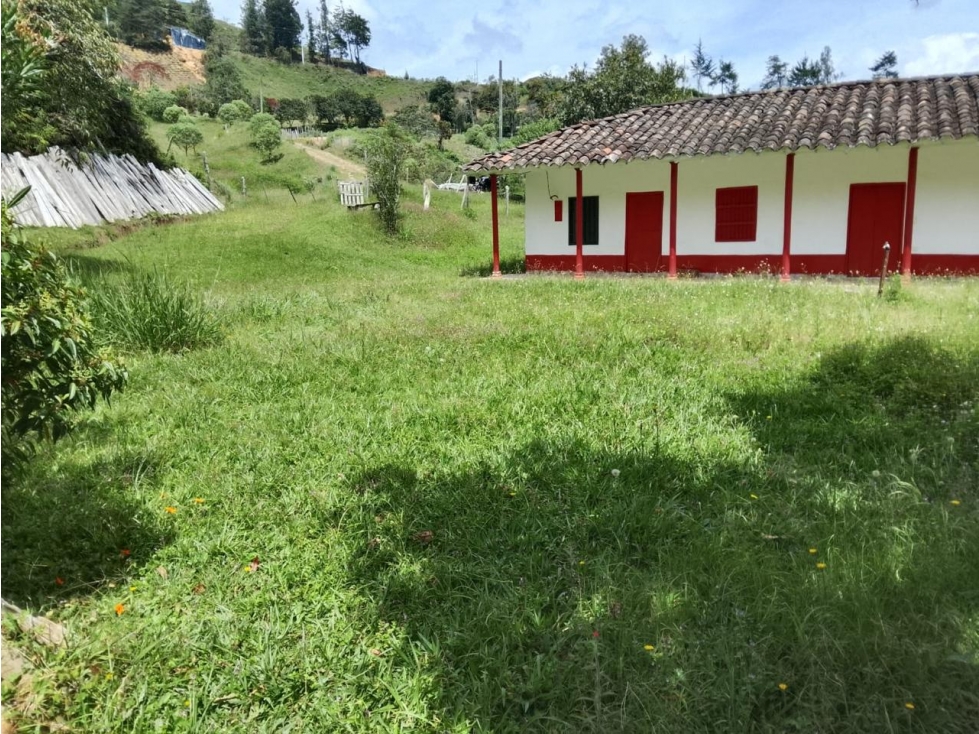 HERMOSA FINCA CAMPESINA EN VENTA SAN VICENTE — foto 3