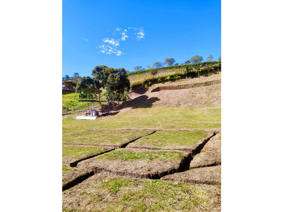 ENCANTADORA FINCA EN VENTA GUARNE — foto 6
