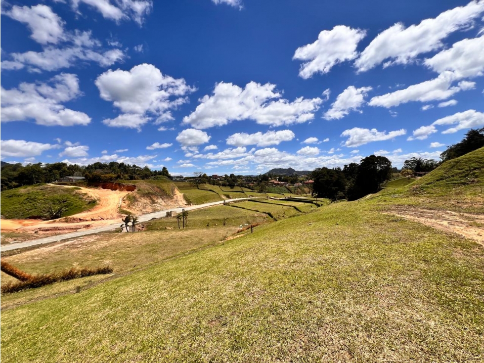 HERMOSO LOTE EN VENTA EL CARMEN DE VIBORAL — foto 6