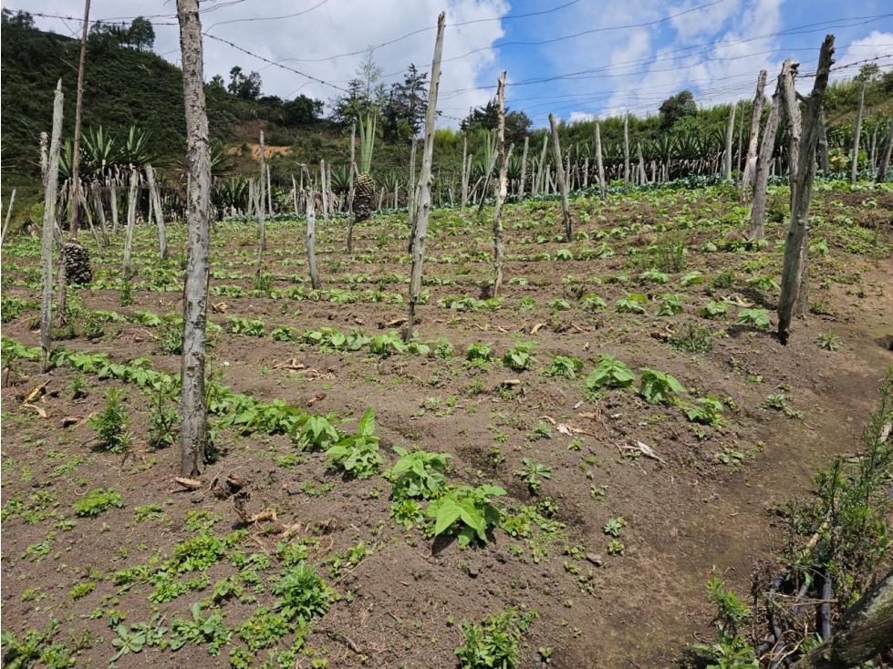 ENCANTADOR LOTE EN VENTA APROVECHABLE PARA SUBDIVISIÓN SAN VICENTE — foto 6