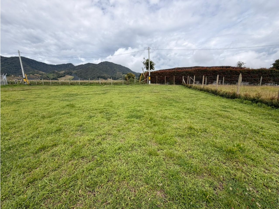 LOTE CAMPESTRE EN VENTA EL CARMEN DE VIBORAL — foto 6