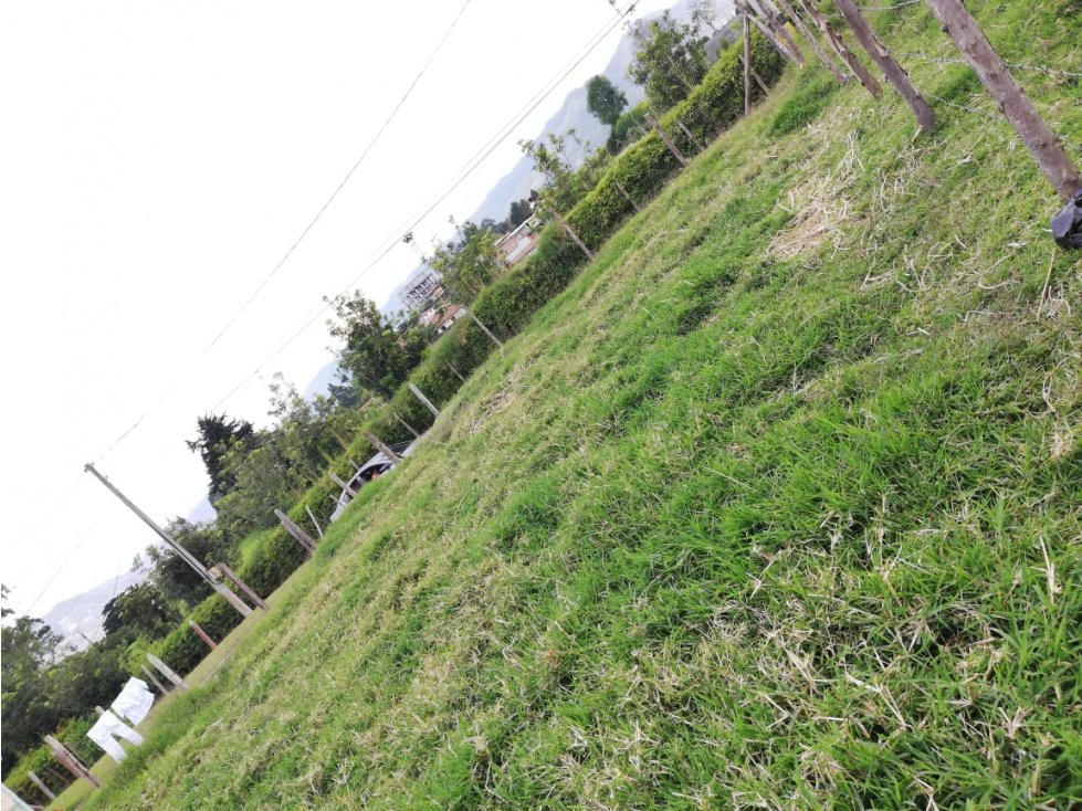 UNICO LOTE URBANO EN VENTA CERCA A LA ZONA URBANA EN EL CARMEN DE VIB.