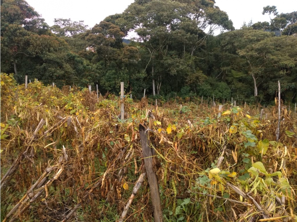 LOTE DE OPORTUNIDAD VEREDA AGUAS CLARAS EN VENTA EN EL CARMEN DE VIB. — foto 4