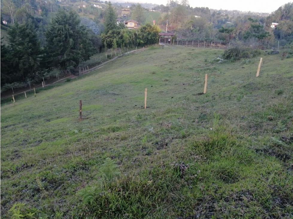 LINDOS LOTES EN VENTA GUARNE — foto 2