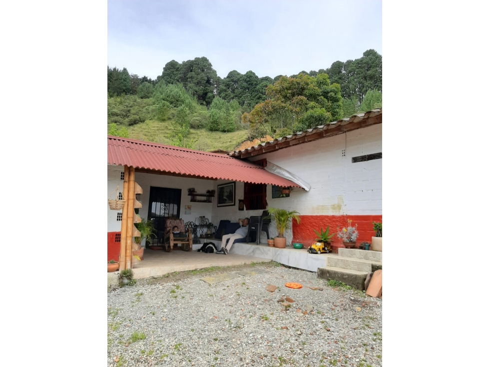 LINDA CASA FINCA TRADICIONAL EN VENTA CARMEN DE VIBORAL — foto 4