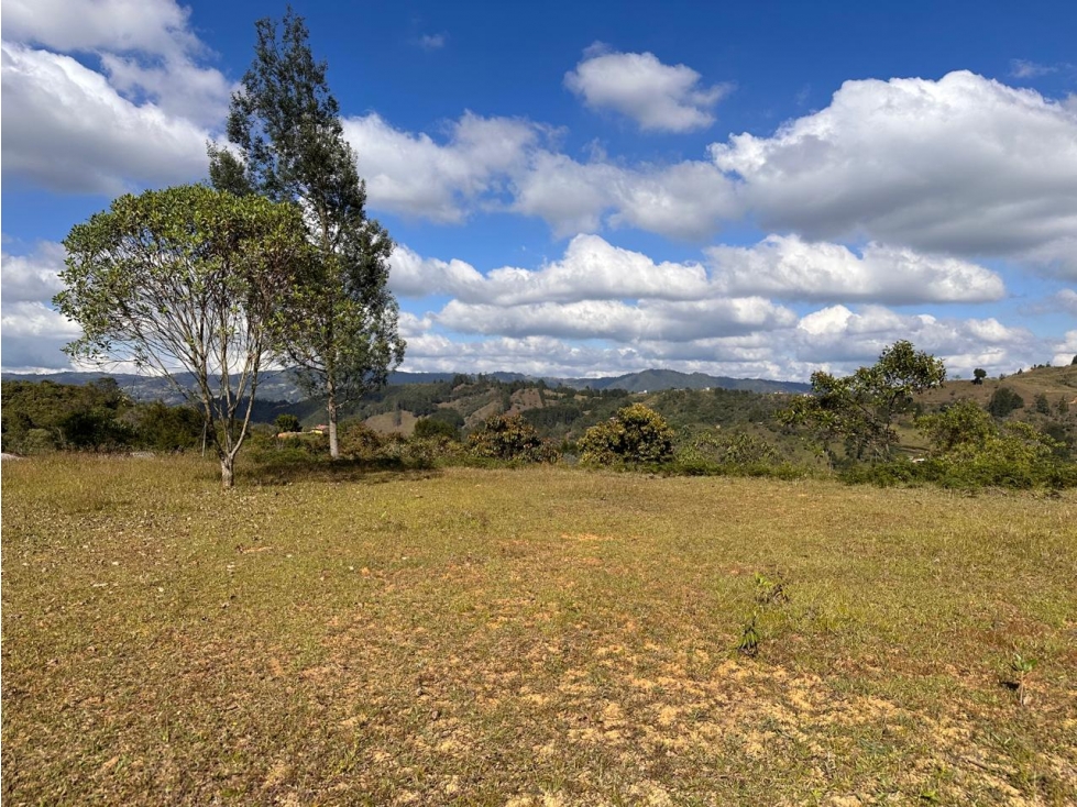 ENCANTADOR LOTE EN CON LINDA VISTA EN VENTA GUARNE - 6