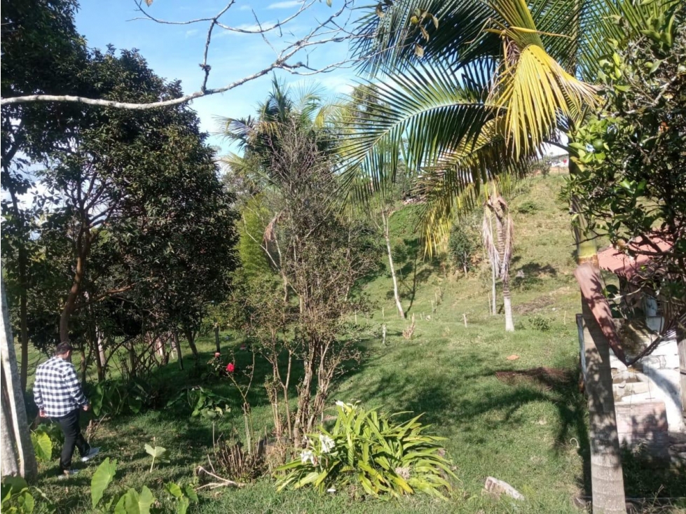 LINDA FINCA EN VENTA CON CASA CAMPESINA EL CARMEN DE VIBORAL — foto 4
