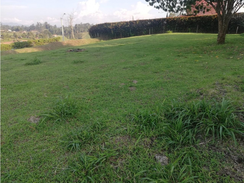 ENCANTADOR LOTE EN VENTA SAN VICENTE CERCA A LA AUTOPISTA — foto 2