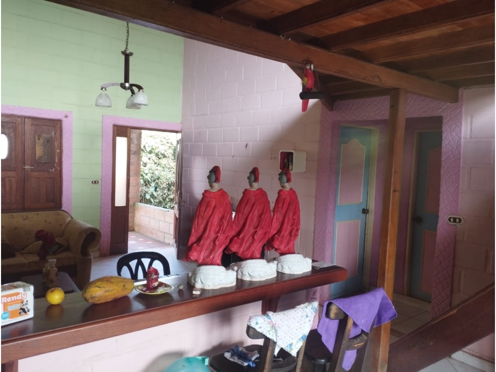 LINDA FINCA EN VENTA MARINILLA — foto 3