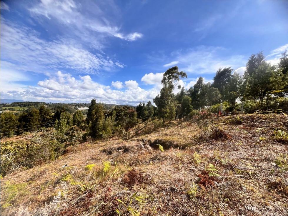 LINDOS LOTES EN VENTA EN LA VEREDA SAN ISIDRO DE GUARNE — foto 2