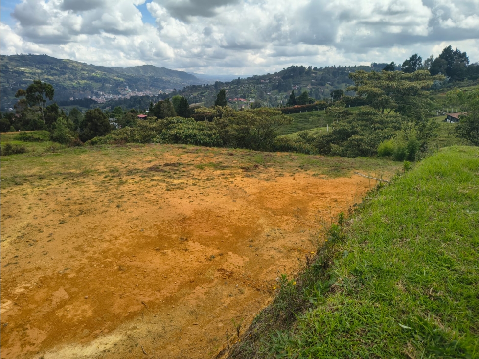 ENCANTADOR LOTE CON VISTA EN VENTA GUARNE — foto 6
