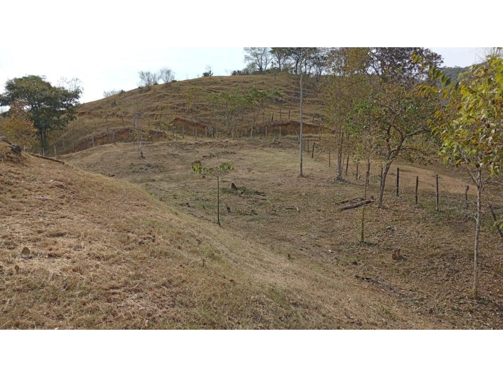 HERMOSO LOTE EN VENTA SOPETRAN — foto 4