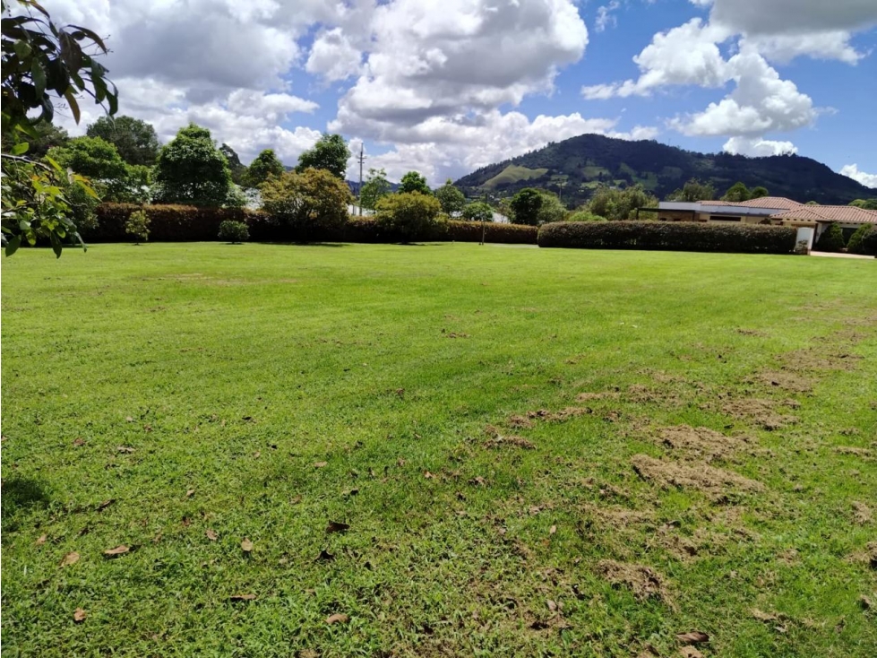 ESPECTACULAR LOTE EN VENTA LA CEJA