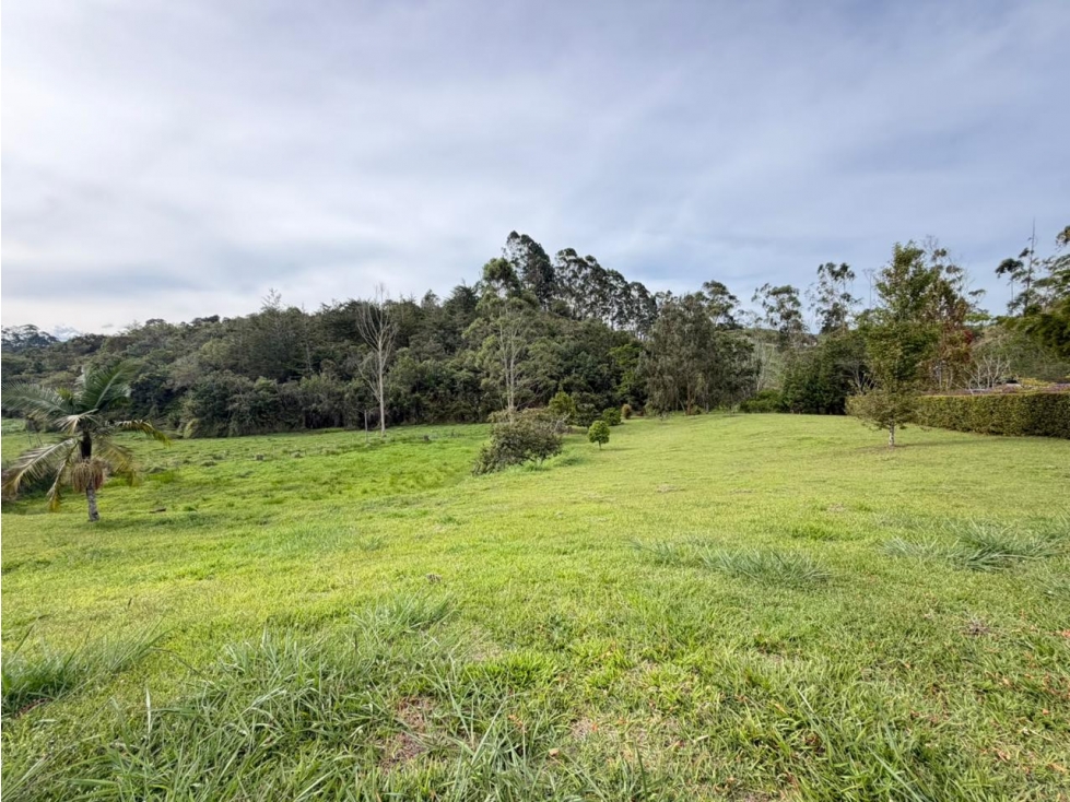 EXCLUSIVO LOTE EN VENTA VIA SAN ANTONIO LA CEJA — foto 3