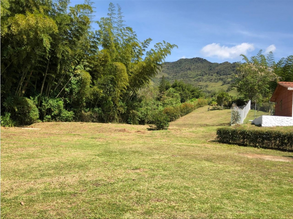 ENCANTADORA FINCA EN VENTA EL PEÑOL TOPOGRAFIA PLANA - 3