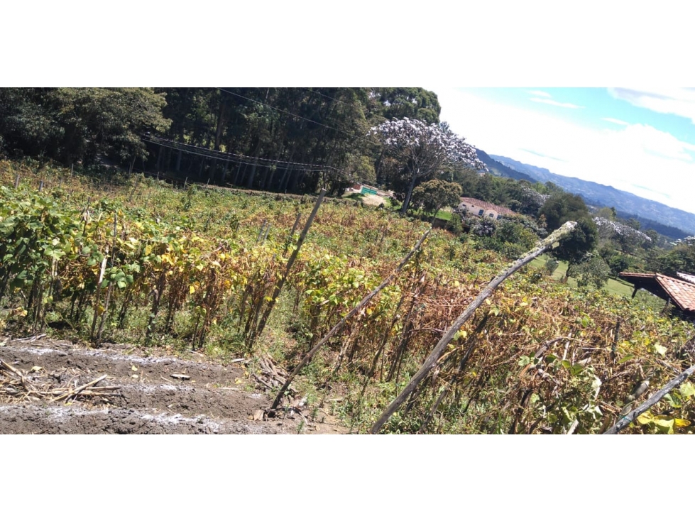 LOTE DE OPORTUNIDAD VEREDA AGUAS CLARAS EN VENTA EN EL CARMEN DE VIB. — foto 5