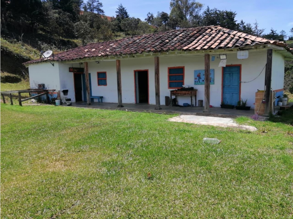 LINDA FINCA TRADICIONAL EN VENTA SAN VICENTE