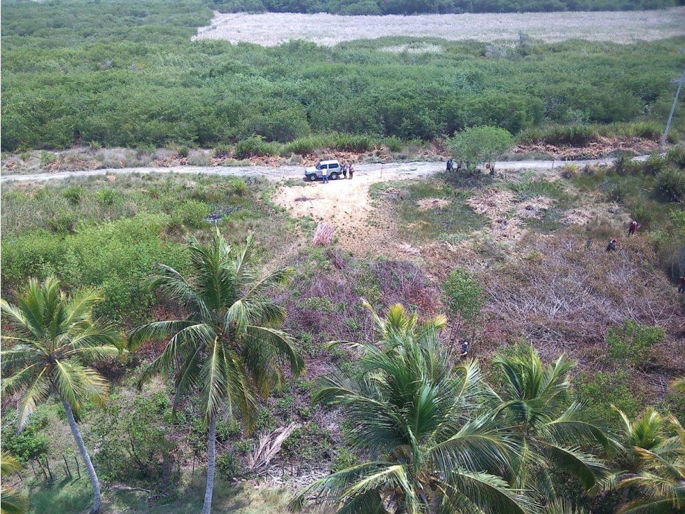 ENCANTADOR LOTE DE PLAYA EN VENTA SAN BERNARDO DEL VIENTO - 2