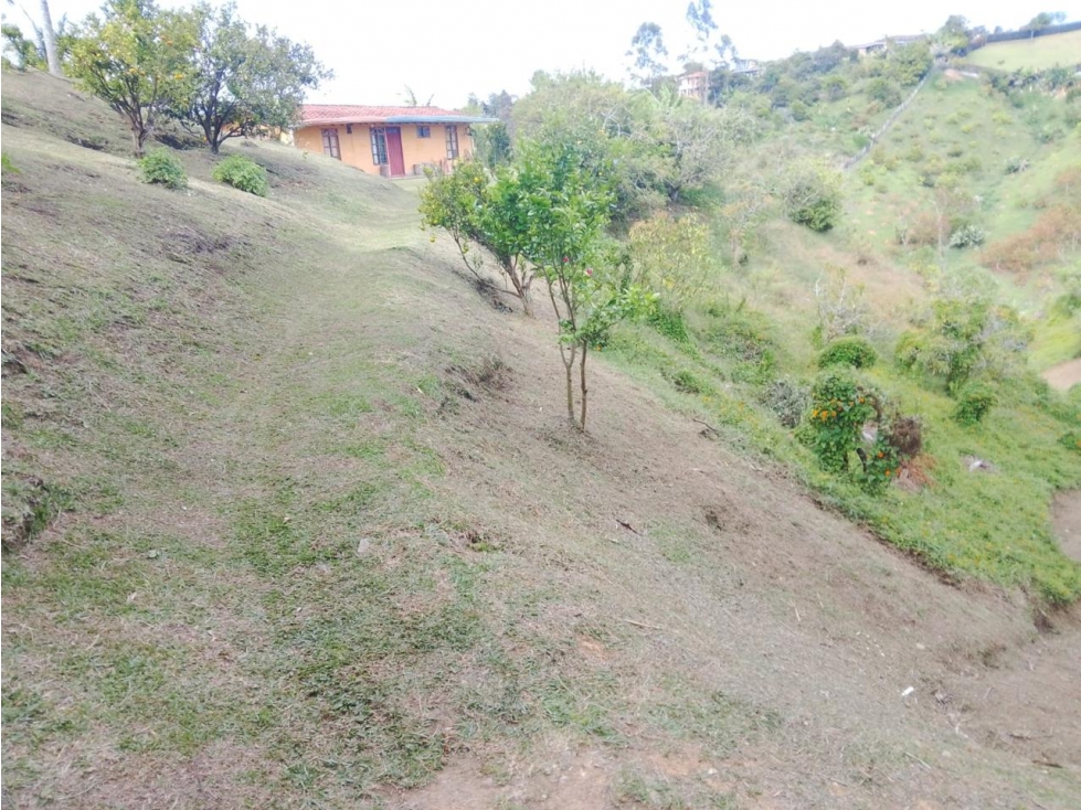 ESPECTACULAR FINCA EN VENTA PARA PROYECTO DE PARCELACIÓN SAN VICENTE — foto 3