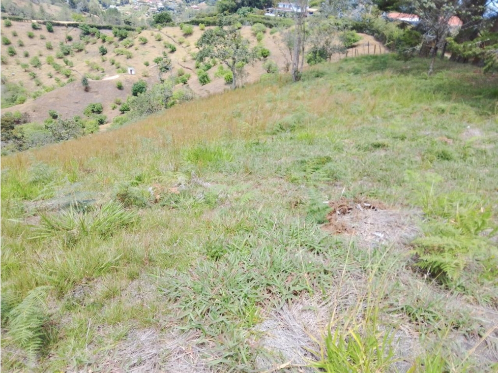 ENCANTADOR LOTE EN VENTA PARA PROYECTO DE SUBDIVISIÓN SAN VICENTE — foto 4