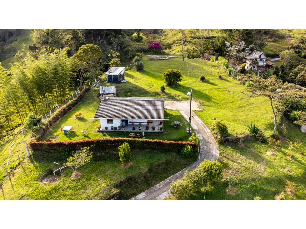 Se vende finca en Granada/Antioquia - 5