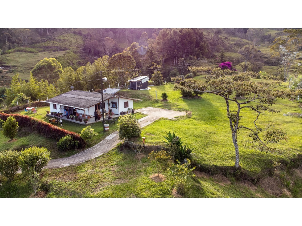 Se vende finca en Granada/Antioquia - 4