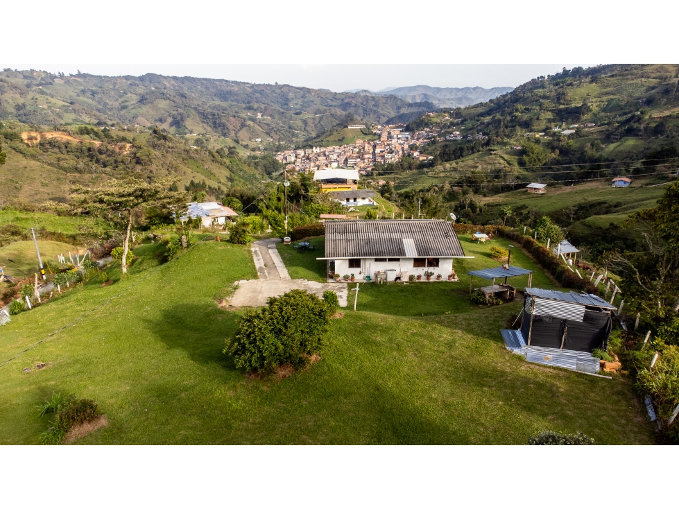 Se vende finca en Granada/Antioquia - 6
