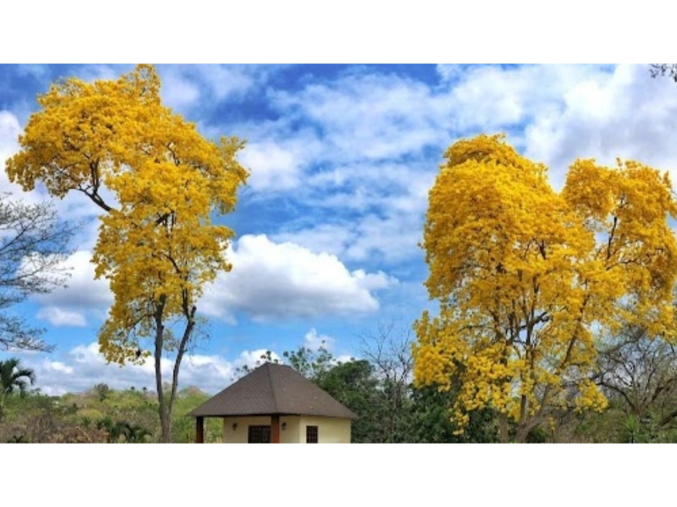 Terreno Lomas del Bosque Via La Costa, 7000 m2 $266,000 cod 5235794 — foto 3
