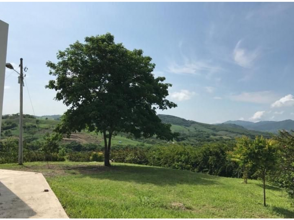 Venta Hacienda / Finca 145 Ha, Teca, Cacao, ganado, Manabi $1'100,000 - 5