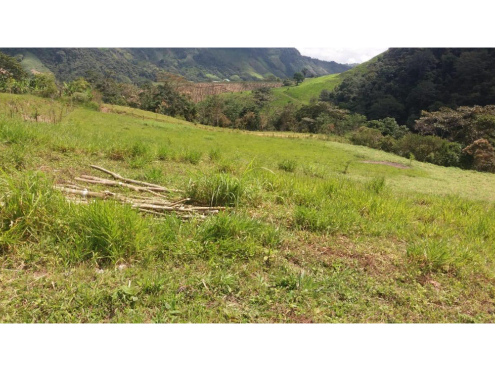 Nanegal Hacienda Ganadera y Agricola Plena Produccion de 72 Hct - 2
