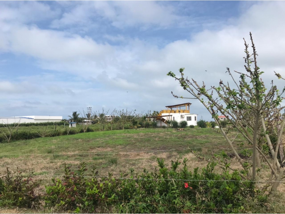 Venta Lotes cerca al mar, Sector Cojimíes $45,000 - 6