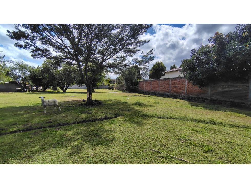 390mil Venta Terreno, Tumbaco, 2.600 m² con acceso al Chaquiñán — foto 2