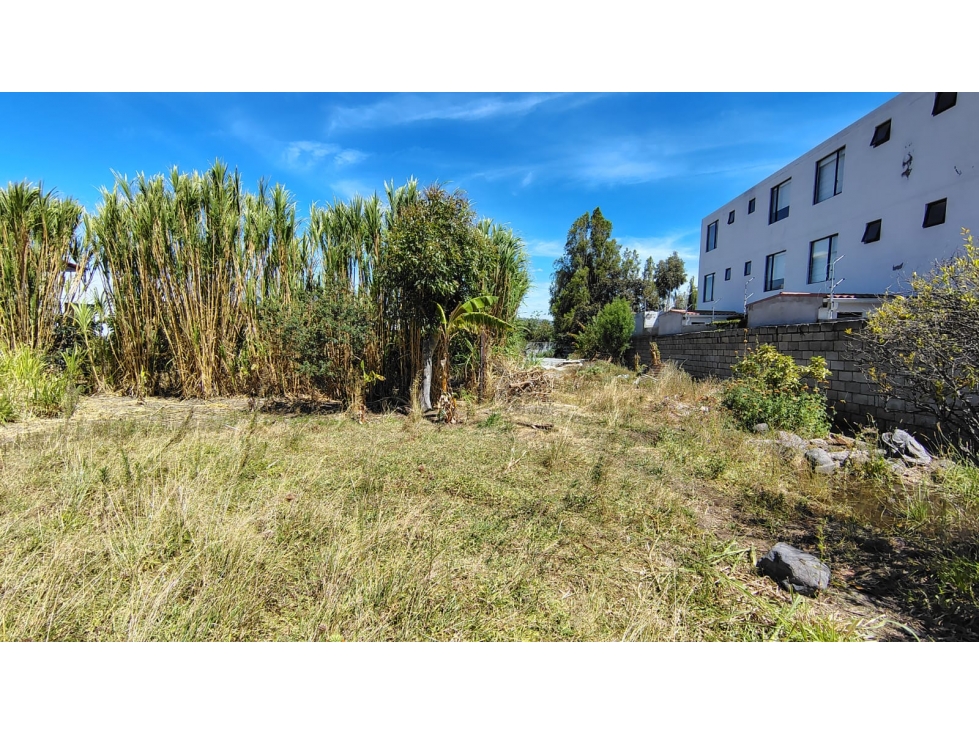 Terreno en venta Morita, Tumbaco, pocas Cuadras Ruta Viva 2163m2 - 2