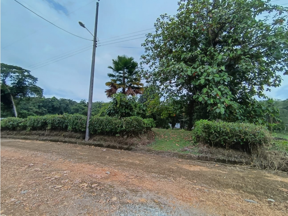 22900 lote en venta Pedro Vicente dentro de Urbanizació con servicios - 1